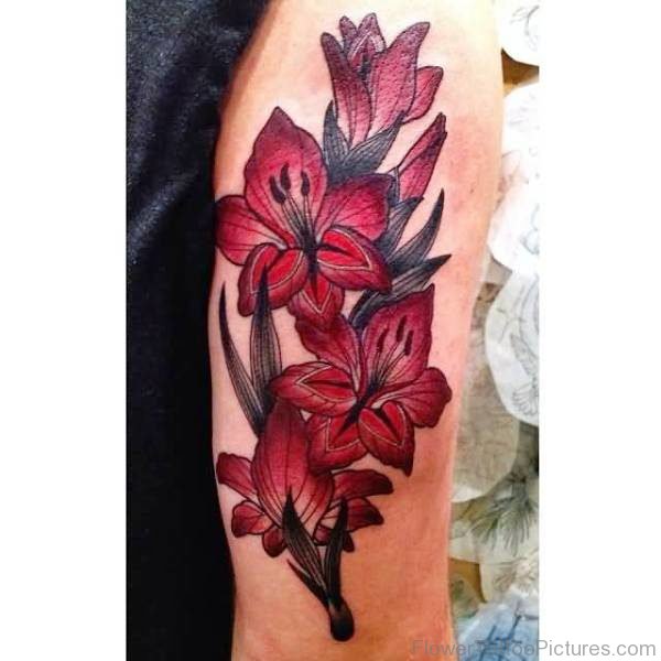 Maroon Gladiolus Flower Tattoo Design