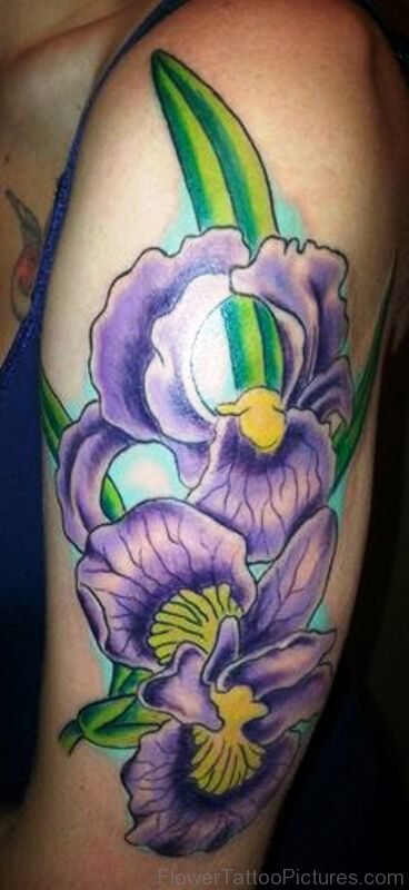 Marvelous Iris Flower Tattoo On Arm