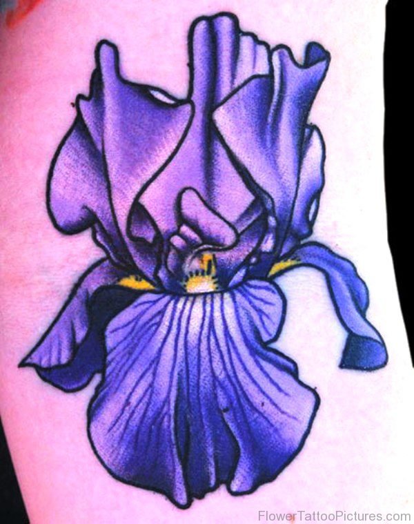 Nice Iris Flower Tattoo Design