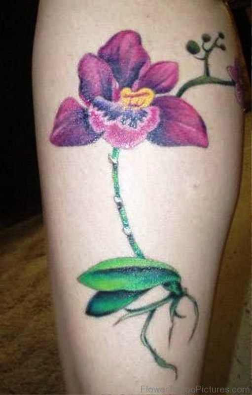 Nice Orchid Flower Tattoo On Leg