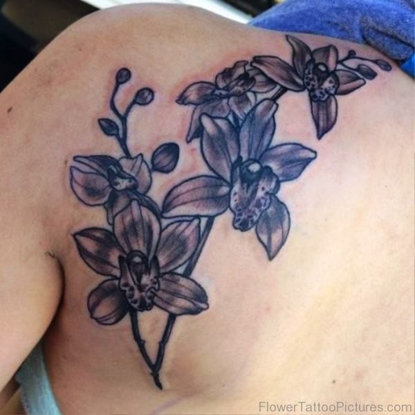 Orchid Flower Buds Tattoo On Shoulder