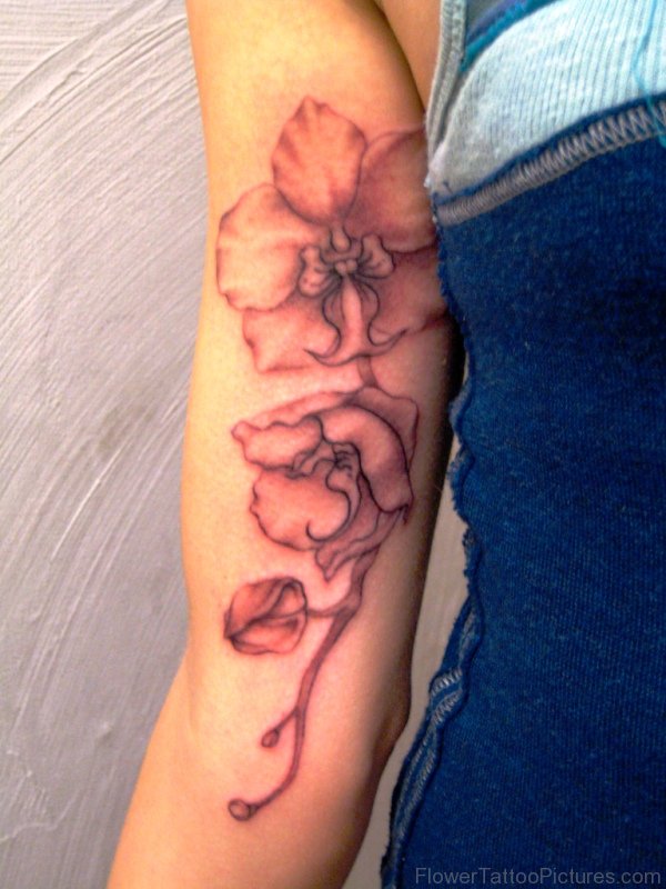 Orchid Flower On Arm