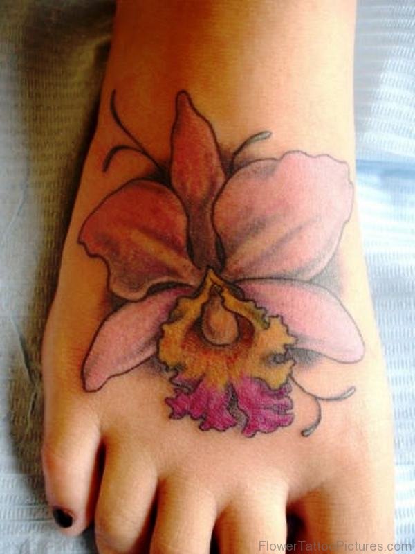 Orchid Flower On Foot