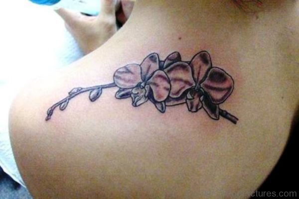 Orchid Flower Tattoo