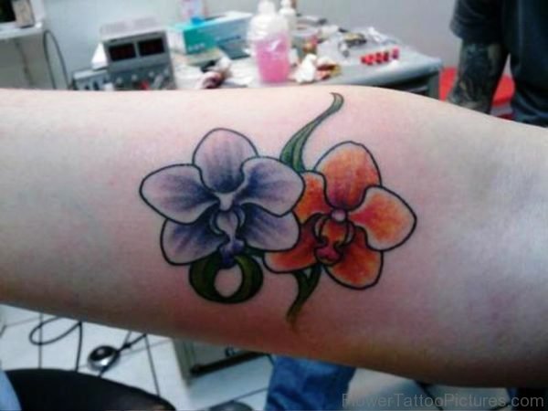 Orchid Flowers On Arm