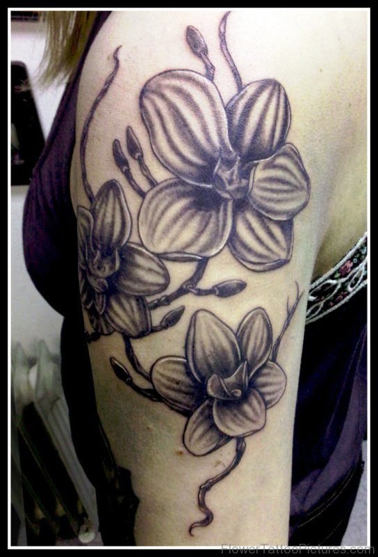 Orchid Tattoo On Arm