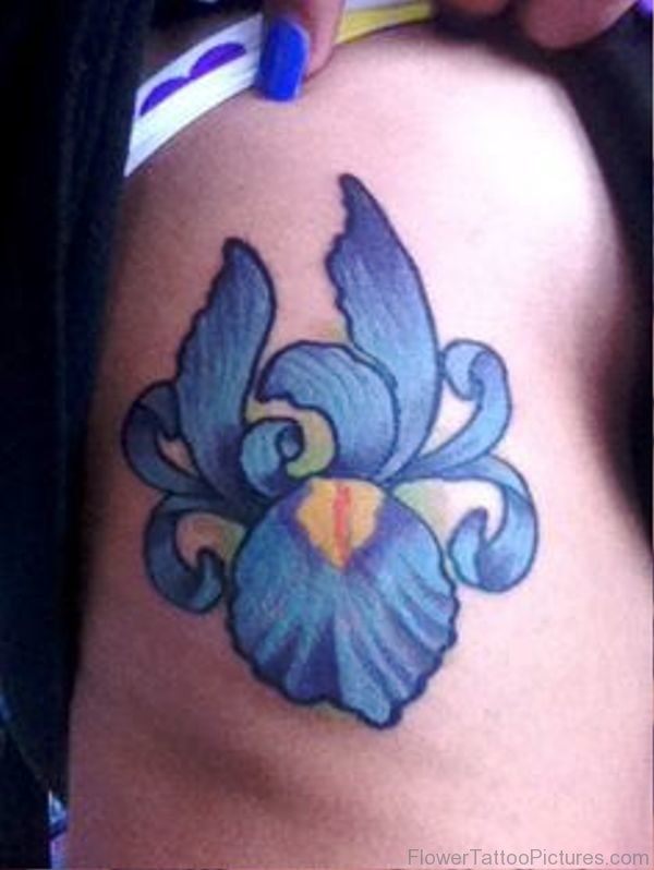 Photo Of Iris Flower Tattoo Design