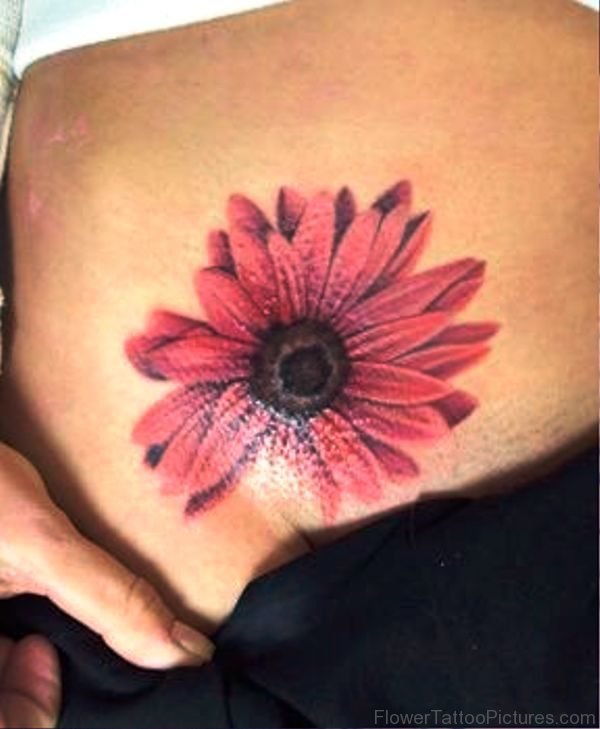 Pic Of Barberton Flower Tattoo