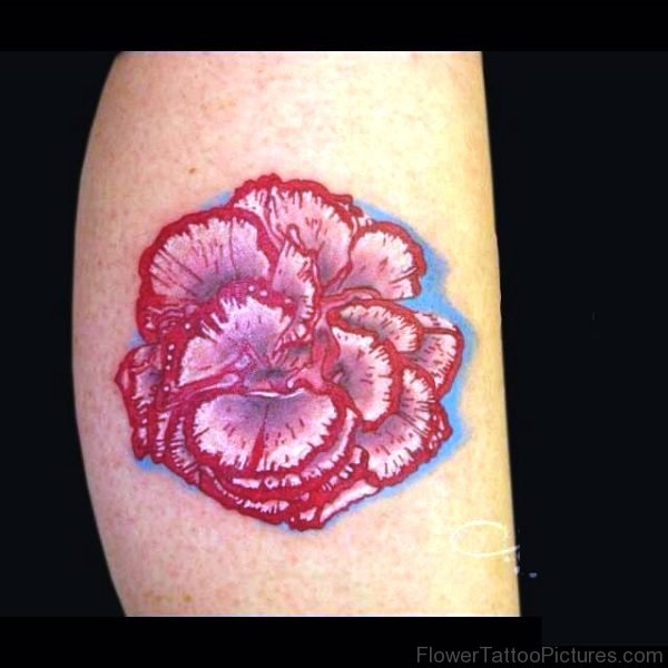 Pic Of Carnation Flower Tattoo Design