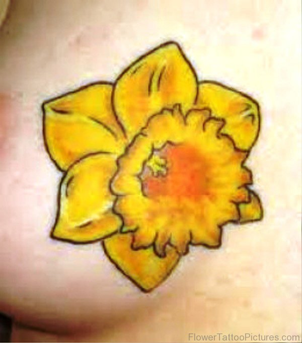 Pic Of Daffodil Flower Tattoo