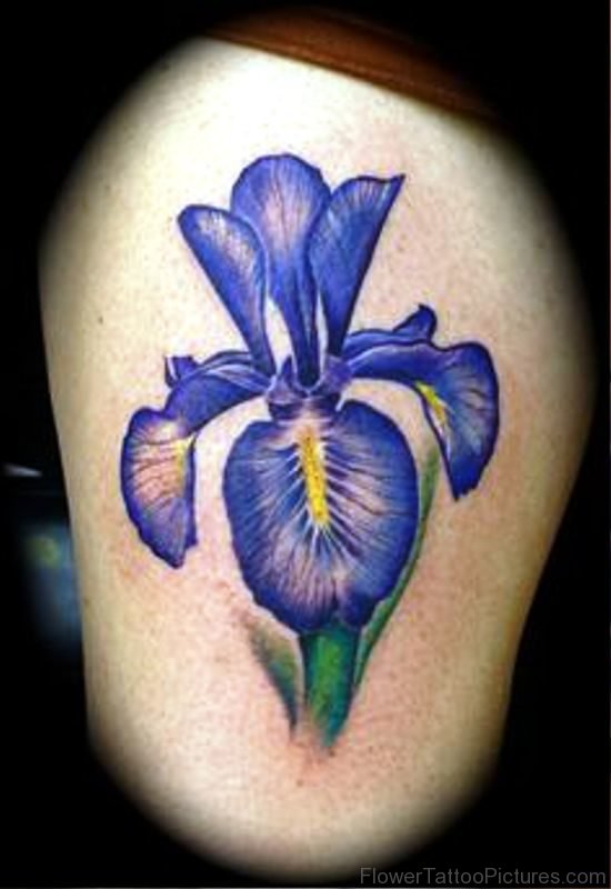 Pic Of Iris Flower Tattoo