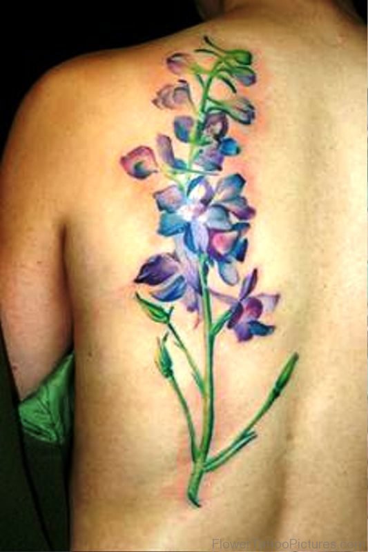 Pic Of Larkspur Flower Tattoo Design