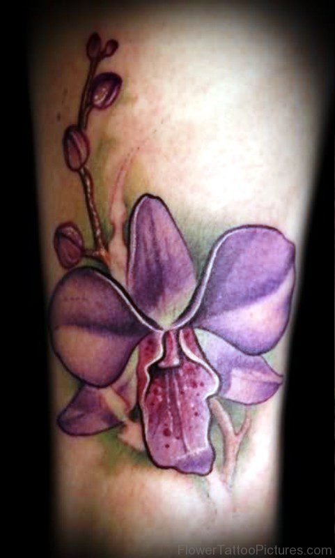 Pic Of Orchid Flower Tattoo Design