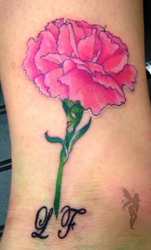Pic Of Pink Carnation Flower Tattoo