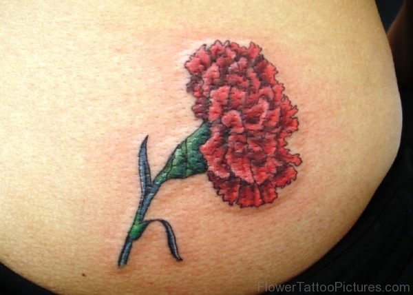 Picture Of Carnation Flower Tattoo