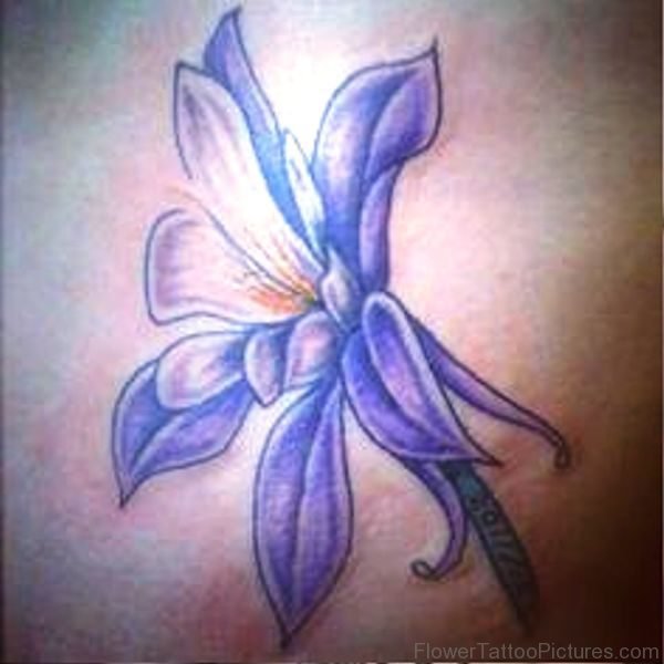 Picture Of Columbine Flower Tattoo