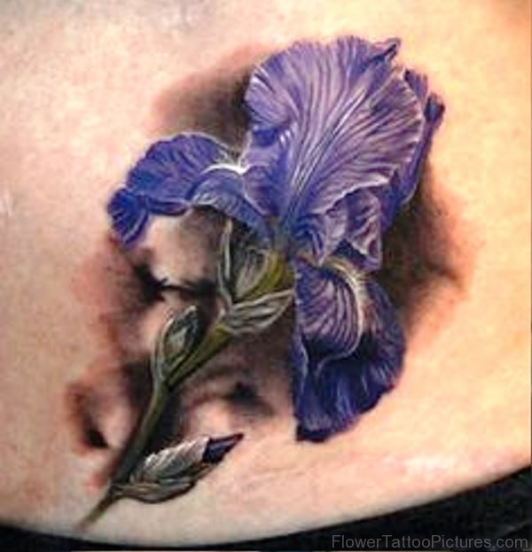 Picture Of Iris Flower Tattoo Design