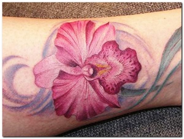 Picture Of Orchid Flower Tattoo