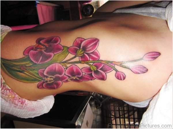 Pink And Green Orchid Flowers Tattoo On Rib