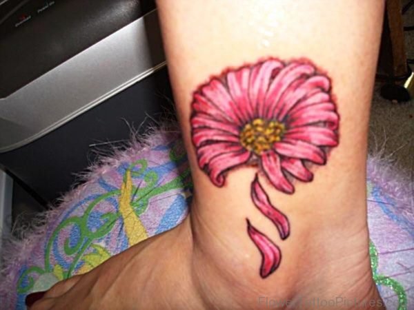 Pink Barberton Flower Tattoo On Leg