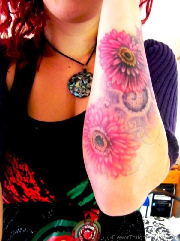 Pink Barberton Flowers Tattoo On Arm