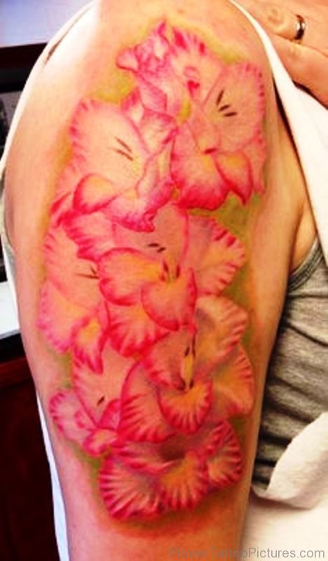 Pink Gladiolus Flower Tattoo On Shoulder