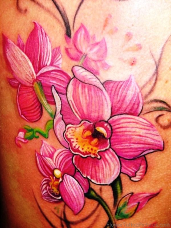 Pink Orchid Flowers Tattoo