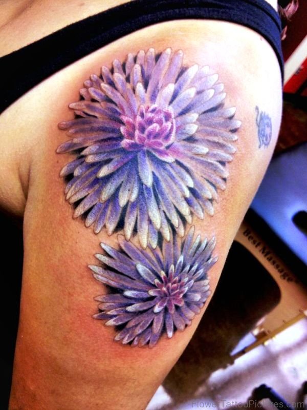 Purple Barberton Tattoo On Shoulder