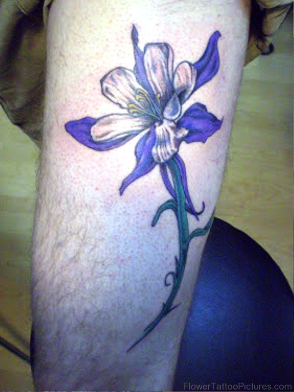 Purple Columbine Tattoo On Thigh