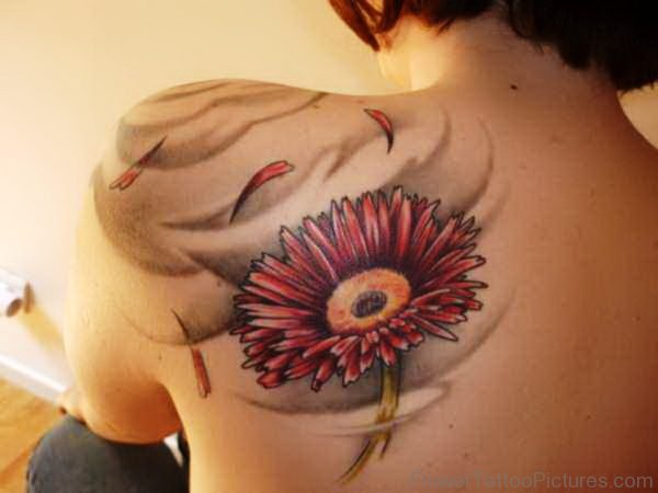 Red Barberton Flower Tattoo On Shoulder