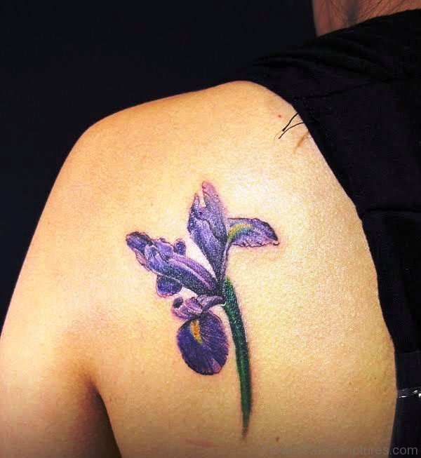 Small Iris Flower Tattoo On Shoulder