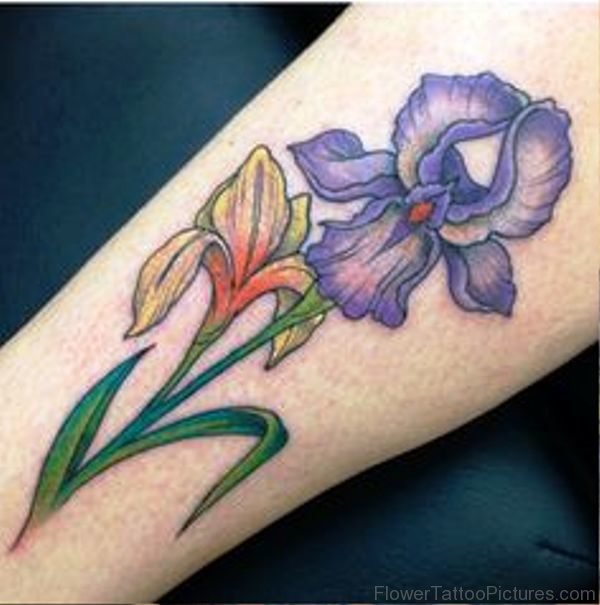 Superb Iris Flower Tattoo Design