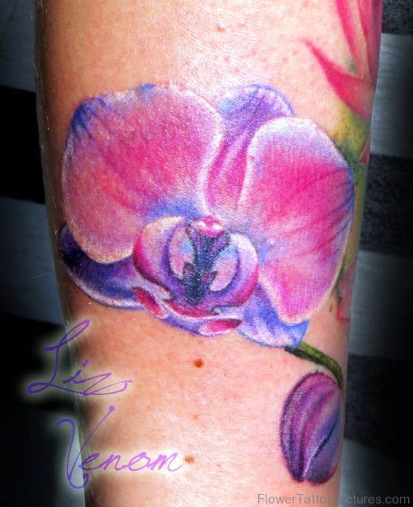 Superb Orchid Flower Tattoo Design