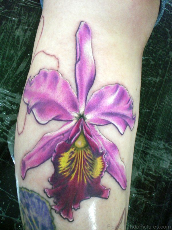 Sweet Orchid Flower Tattoo On Leg