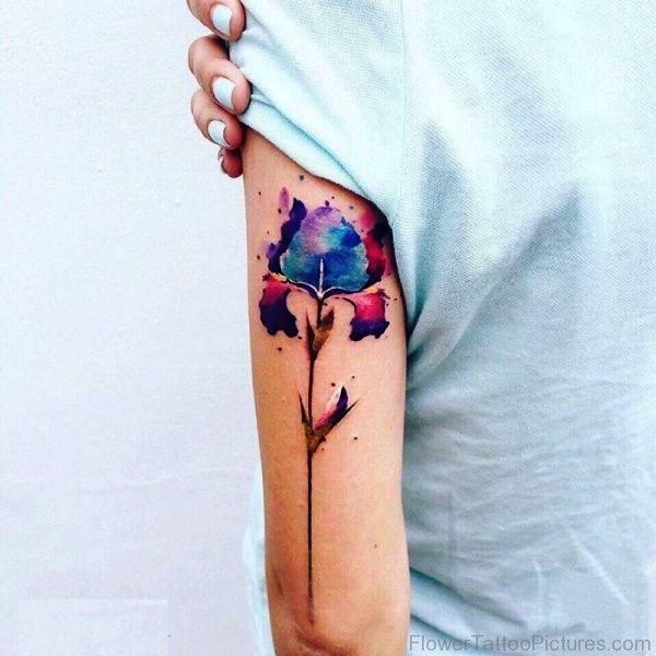 Sweet Watercolor Iris Flower Tattoo On Arm