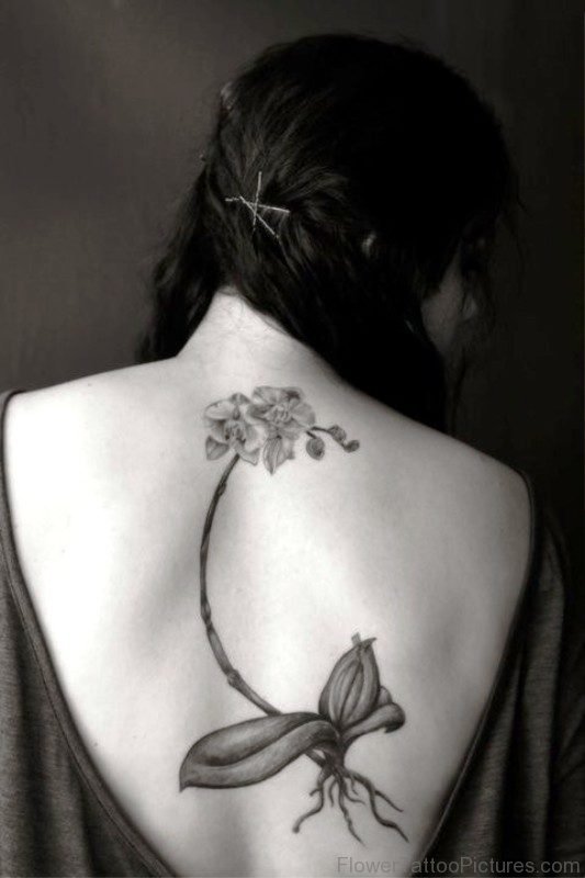 Upper Back Orchid Flower Tattoo Design