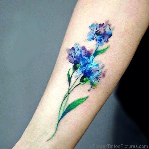 Watercolor Cornflower Tattoo On Arm