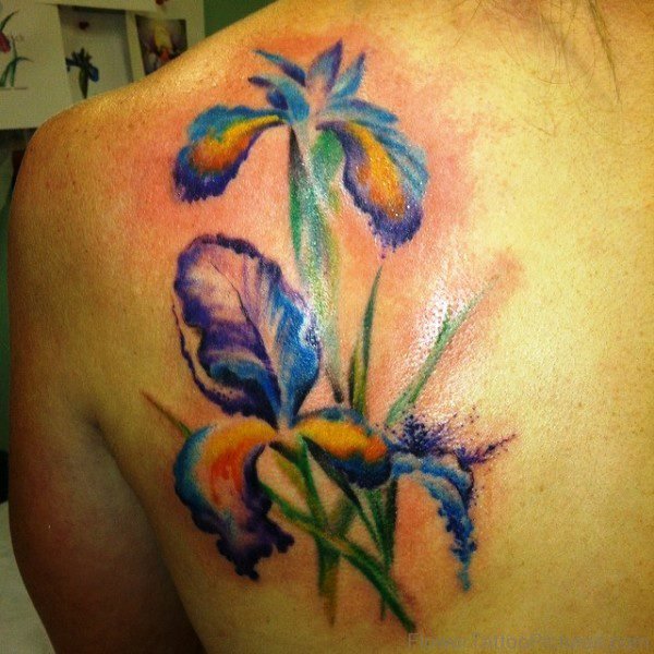 Watercolor Iris Flower Tattoo On Shoulder