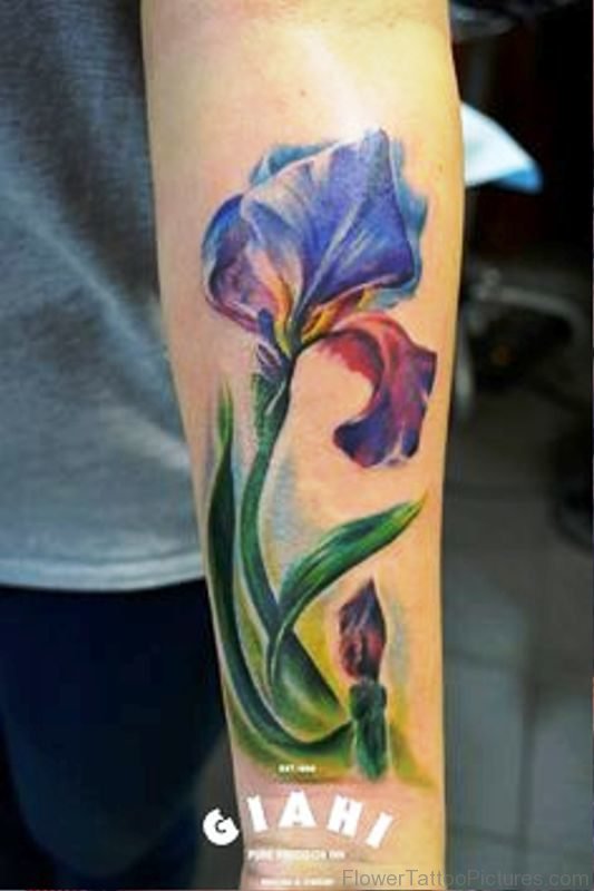 Wonderful Iris Flower Tattoo On Arm