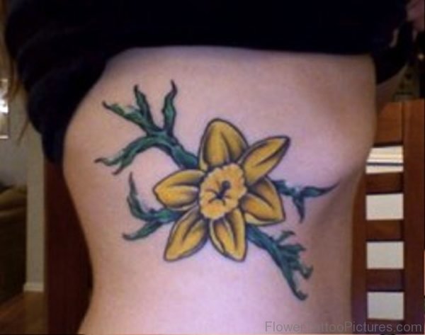 Yellow Daffodil On Rib